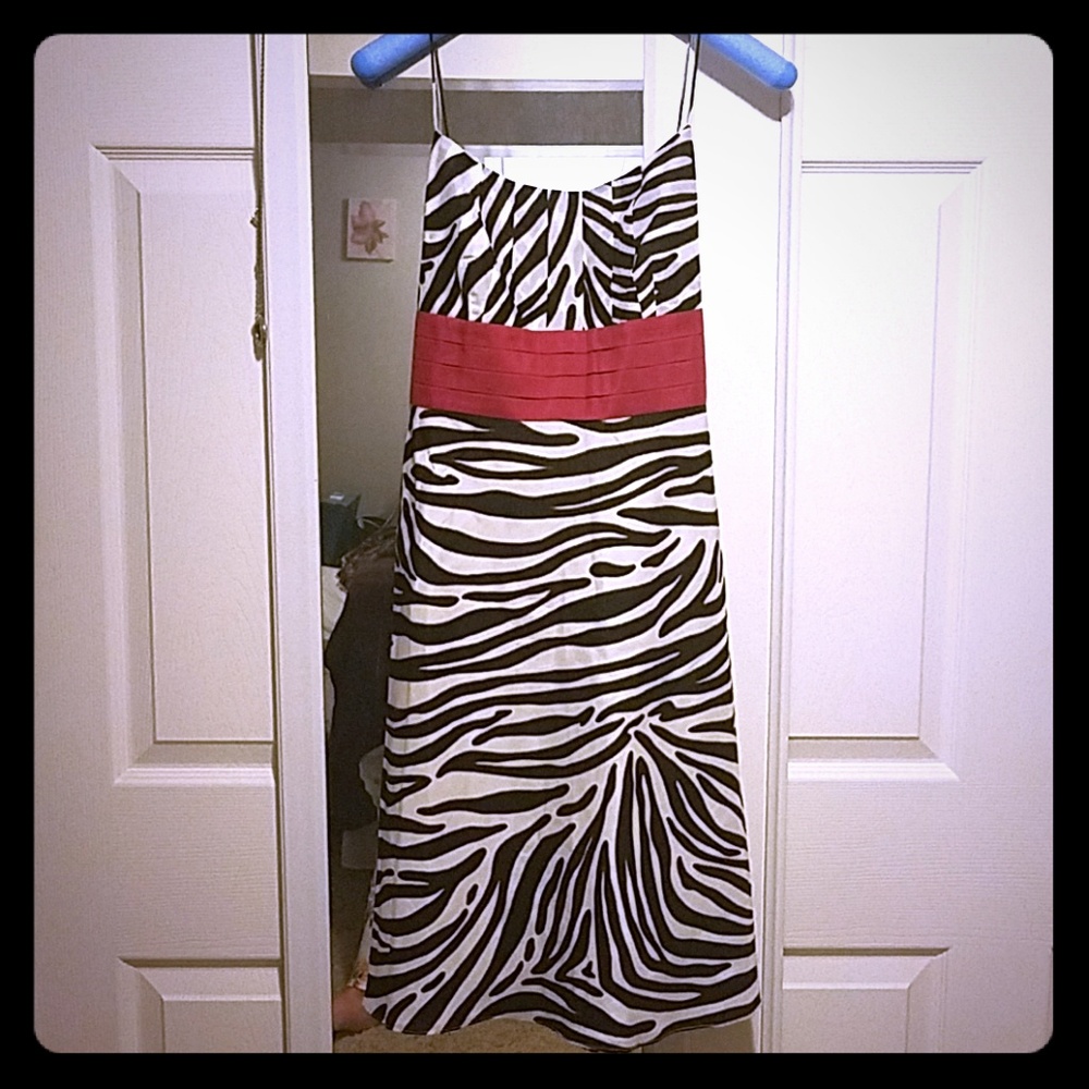 Ann Taylor Zebra Print Dress